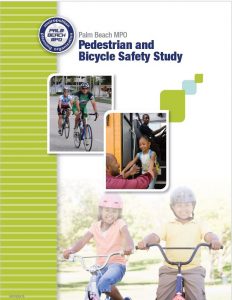 Pedestrian and Bicycle Safety Study PDF