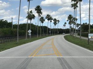 Image of Greenbriar Blvd where there are palm trees and soon to be designated bike lanes